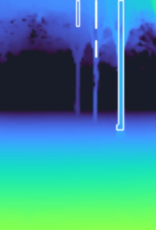Depth: tree trunks outlined as obstacles